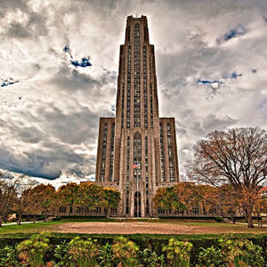 Meet your Posher, Jackson